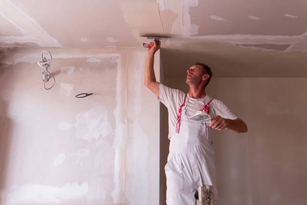 Best Drywall Crack Repair  in Earlham, IA